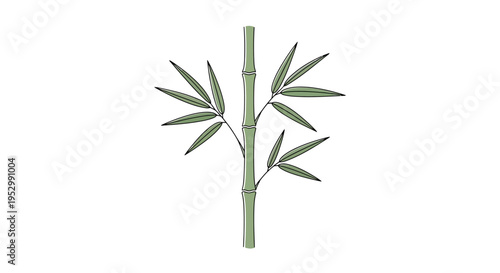 Green bamboo stem with leaves on white background, minimalist, clean, natural, Asian plant