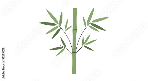 Green bamboo stalk with leaves on a white background, minimalist design