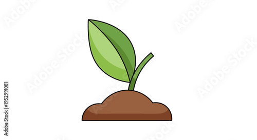 Green sprout growing from soil, symbolizing new life and growth
