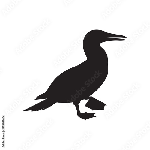 Adobe Illustrator Artwork