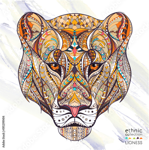 Patterned head of the lioness