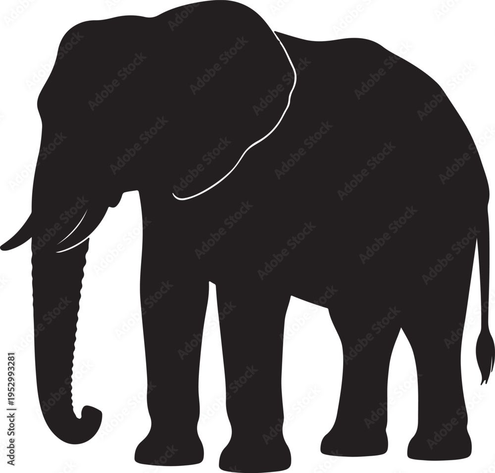Fototapeta premium Graceful silhouette of an elephant standing calmly in a natural setting