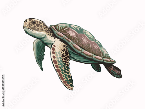 Sea turtle illustration vector object 