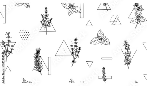 Minimal botanical herb seamless pattern with geometric shapes modern summer line art vector design