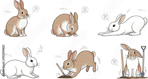 Rabbit Behavior Set with Different Actions like Sitting, Running, Digging and Playing Illustration for Animal Study, Pet Care Concepts and Wildlife Character Design
