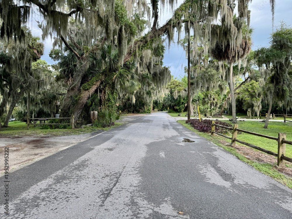 Obraz premium The road into Trimble Park an Orange County Park