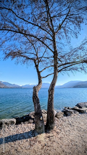 ANNECY (Haute-Savoie)