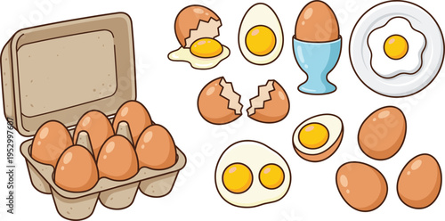 Fresh chicken eggs set with carton box, boiled, fried, and cracked egg vector illustrations,