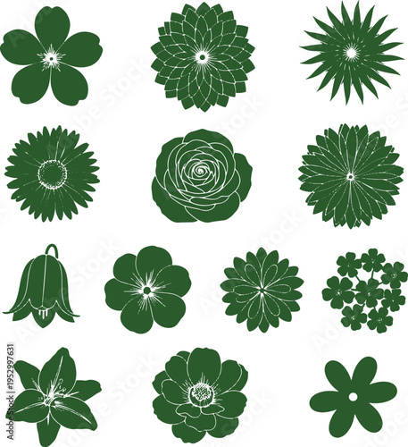 Detailed green flower head silhouettes featuring roses gerberas carnations and tropical blooms from top view perspective art