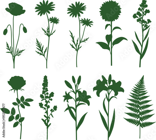 Green silhouettes of diverse floral stems and botanical plants showing poppies daisies lilies and fern fronds on background
