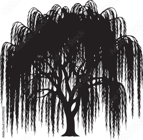 Willow Tree Silhouette Bundle Collection Nature Vector 
