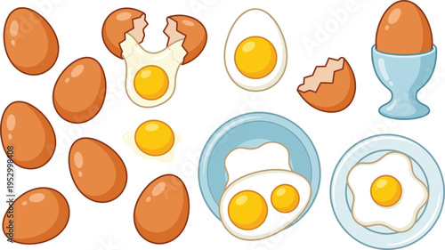 Fresh brown chicken eggs set with fried boiled and broken stages, cad drawing flat vector illustration.