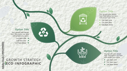 Modern vector infographic with organic leaf-based process layout, clean design and editable elements for eco, sustainability and workflow presentation