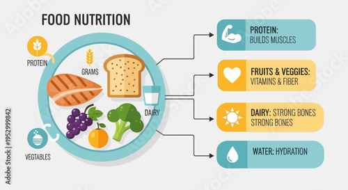 Infographic about food nutrition and healthy eating.