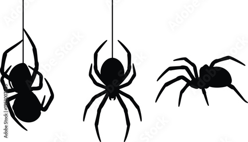 Three black silhouettes of spiders hanging from threads in different positions and orientations