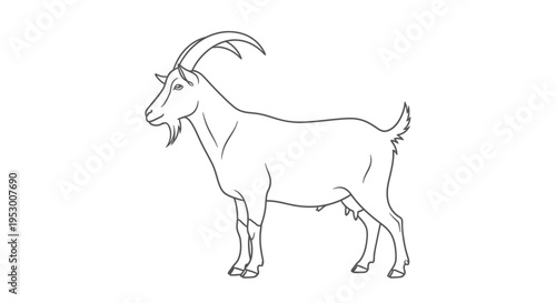 Simple outline drawing of a standing goat, side view. Black and white line art illustration of a farm animal on white background.