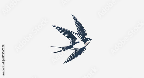Elegant vintage flying swallow bird illustration in engraving style. Hand-drawn artistic design, symbolizing freedom and spring.