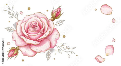 A beautiful pink rose with buds and leaves is scattered with petals and gold dots on a white background.