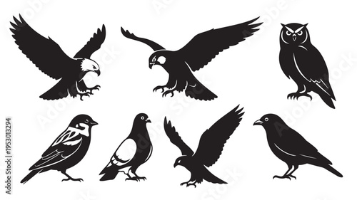 Bird silhouettes collection flying set vector