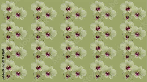 Seamless Floral Pattern with Dendrobium Orchid Flowers on Green Background