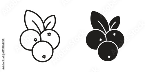 Blueberry icon set concept vector graphics for web UI