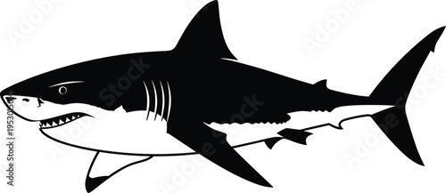 Great white shark silhouette vector illustration with sharp teeth, predatory sea creature icon for ocean mascots, logos and nautical designs.