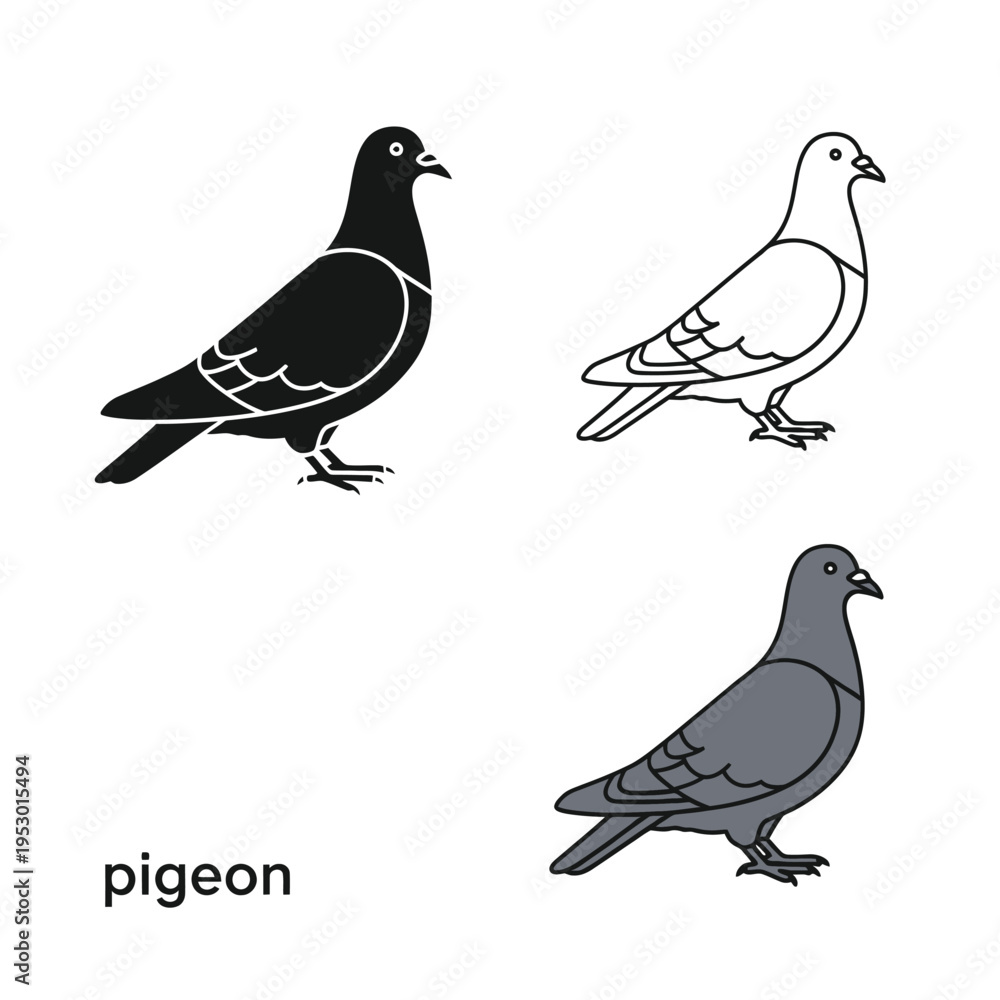 Fototapeta premium Pigeon bird vector set with black silhouette contour line and gray colored icon variations