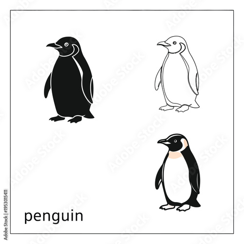 Penguin illustration set including silhouette outline and colored character vector graphics