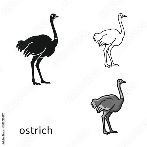 Set of ostrich in black, outline, and grey design on a transparent background