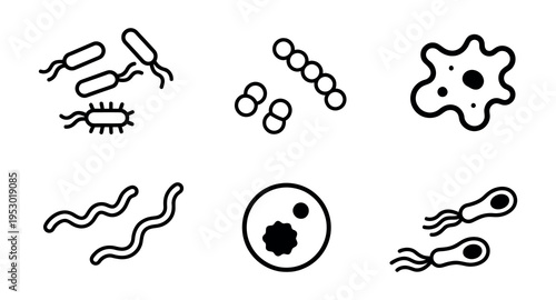 Set of minimalist black line icons representing various types of bacteria, microbes, and germs, including bacilli, cocci, and spirilla.