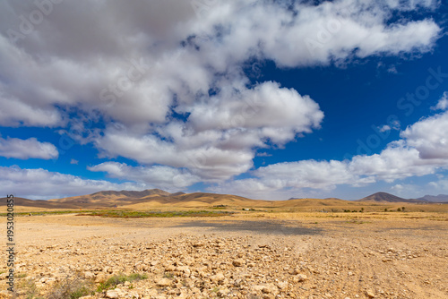 Volcanic landscape of the Canary Islands in Fuerteventura, wallpaper or background for a website