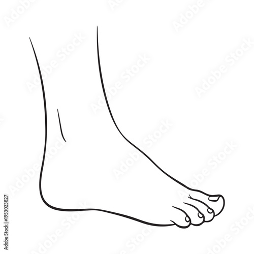 Foot silhouette vector art white background