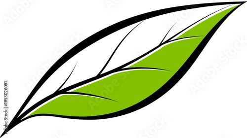 A stylized leaf illustration with a black outline, green fill, and white background