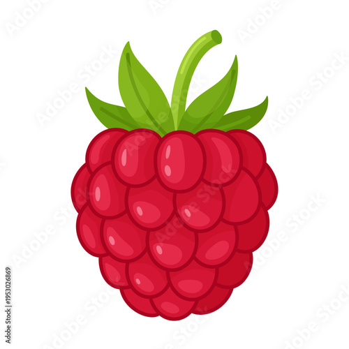 Ripe red raspberry with green leaves. Hand drawn trendy flat style isolated. Fresh summer berry illustration ideal for food design, packaging, healthy menus, and summer designs. Vector illustration