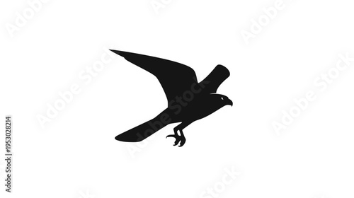 A silhouette of a bird in flight with outstretched wings, viewed from an angle