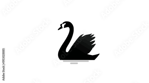 Minimalist illustration of a black swan on white background. Simple design with water reflection