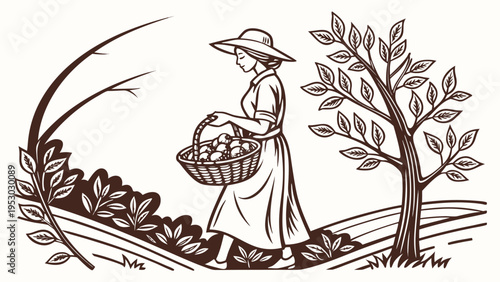 Woman in hat harvesting fruit in basket with vintage rural landscape illustration