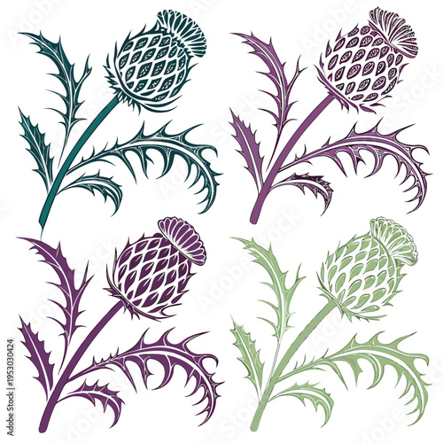 Decorative thistles with spiky leaves in four color variations