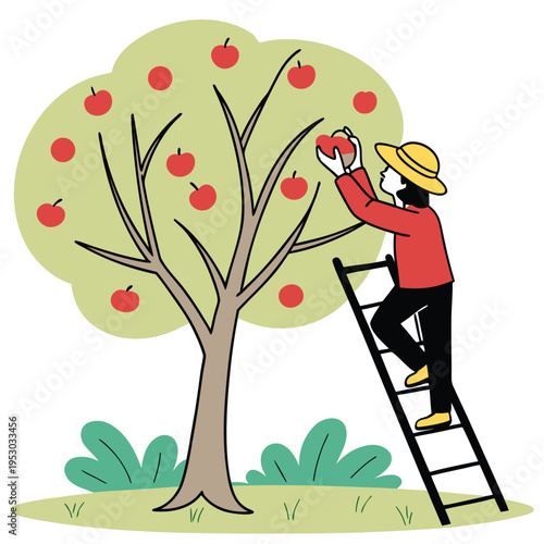 Farmer using ladder to pick red apples from tree in autumn harvest season