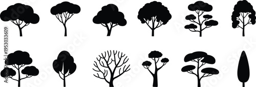 Collection of decorative tree silhouettes including bonsai cypress and leafless trees isolated on white background for forest landscape nature vector illustration