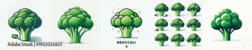 Broccoli Vector Illustration Collection