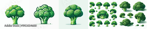 Broccoli Vector Illustration Collection