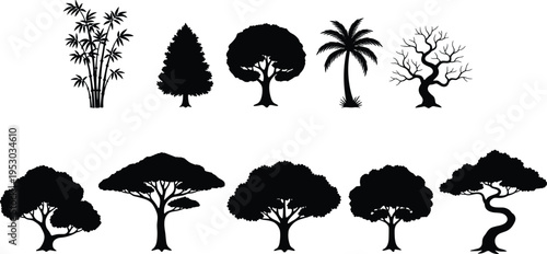Collection of diverse tree silhouettes including bamboo palm pine and deciduous trees isolated on white background for landscape nature vector illustration