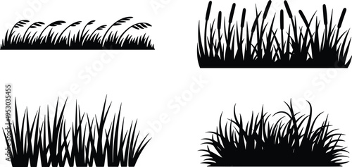 Collection of grass and reed silhouette borders isolated on white background for garden landscape nature vector illustration design elements set