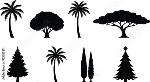 Set of black tree silhouettes including palm pine cypress and broadleaf trees isolated on white background for landscape nature design vector illustration