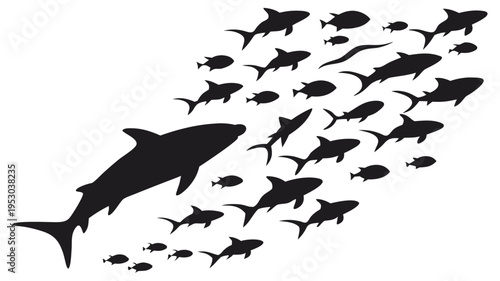 Large shark silhouette leading a school of smaller fish silhouettes on white background
