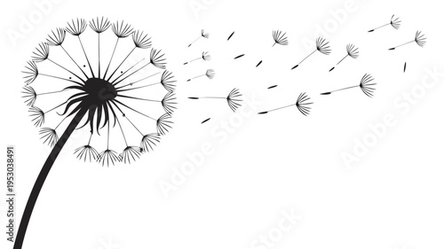 Dandelion blowing in the wind with seeds flying away, nature growth and freedom vector art
