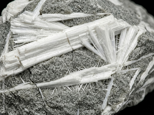 Elongated fibrous crystals of white hydroboracite forming radiating aggregates within a gray granular evaporite matrix.