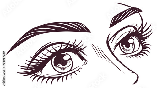 Elegant line art vector illustration of a pair of expressive female eyes with long eyelashes