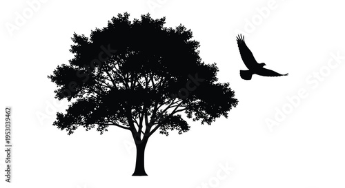 Silhouette of a tree and a soaring bird against a white background